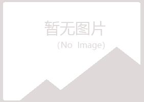 阳泉夏岚水泥有限公司